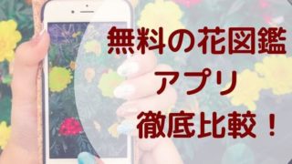無料手話アプリ Android版 で楽しく確実に手話を覚えられる 花のときめき宝箱