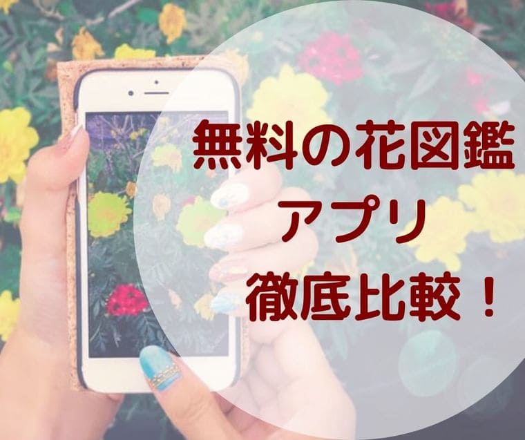 無料の花図鑑アプリ13個を徹底比較 あなたと相性いいのはどれ 花のときめき宝箱