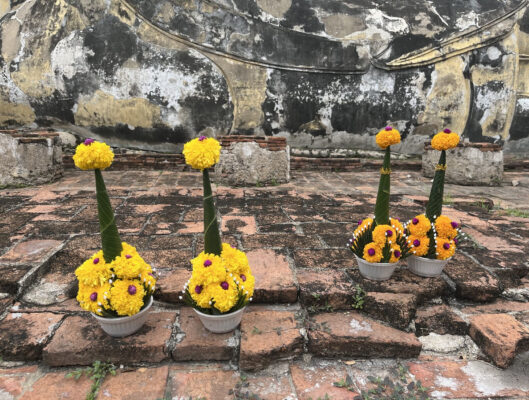 タイお供えの花2