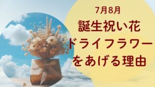 意外！】7月8月誕生祝い花にドライフラワーをあげる理由